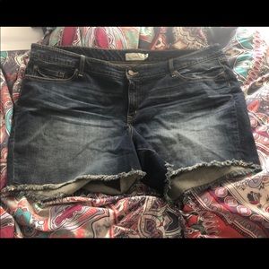 Torrid size 26 denim shorts